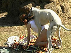 Brazilian Sex With Animals