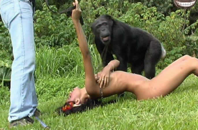 Zoo Whore Category Category - Country Bestiality Orgy