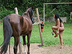 Amateur Zoo DVD's With Teen Horse Sex